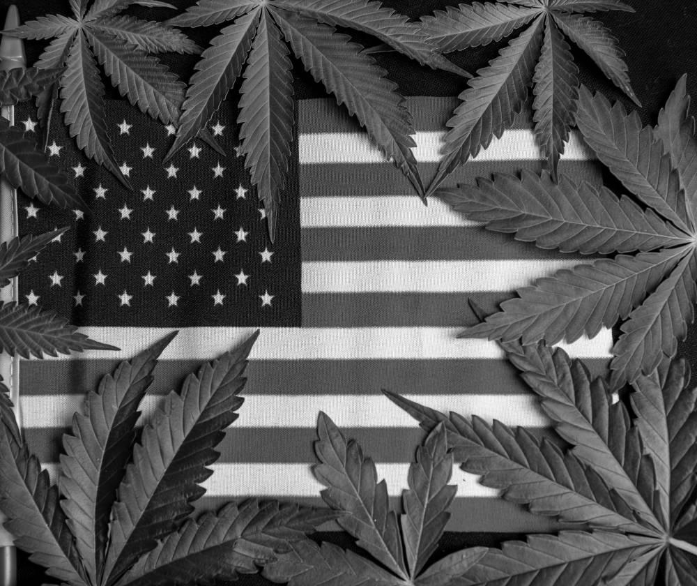 VA Still Blocking Veterans’ Access to Medicinal Cannabis