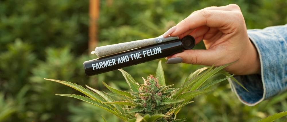 What are F+F Hash Pre-Rolls?