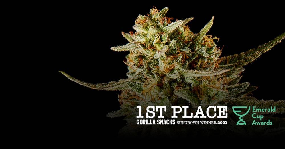 Farmer and the Felon Wins Best Sungrown Flower at the Emerald Cup