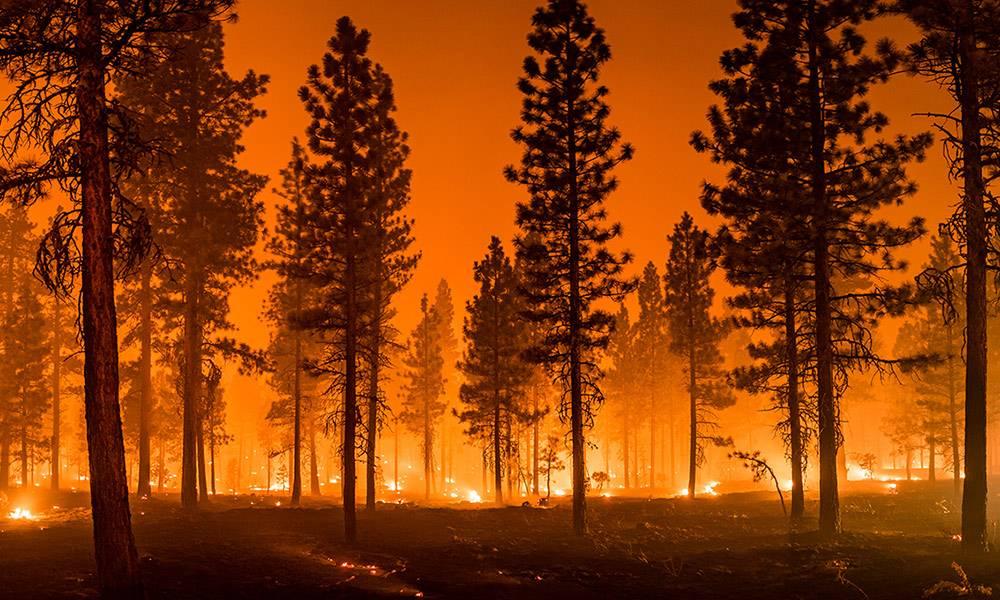 Climate Change and Cannabis Part 1: An Industry Under Siege