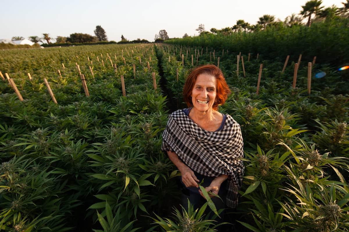 WAMM Phytotherapies Partner Series Honors Cannabis Activist Valerie Corral