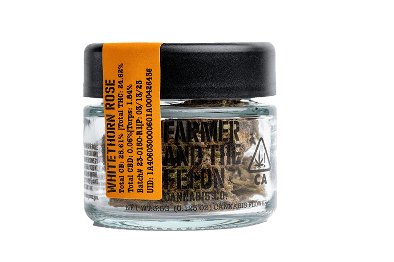 Legacy Collab Series